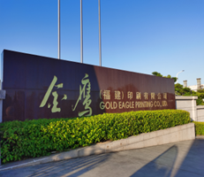 福建金鹰